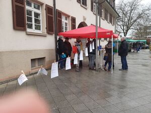 Rote Leine, diesmal im Regen