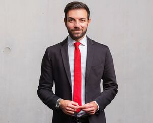 Takis Mehmet Ali, MdB