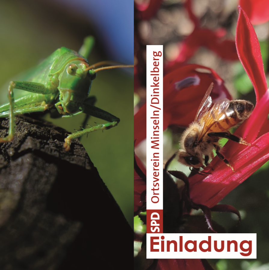 Einladung Neujahrsempfang 6.Januar 2020 Minseln